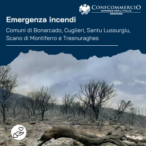 Emergenza incendi - Raccolte fondi ufficiali