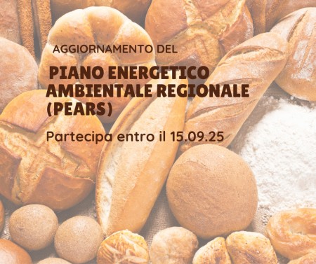 Collaborazione al Piano Energetico Regionale - Settore panificatori e pasticceri