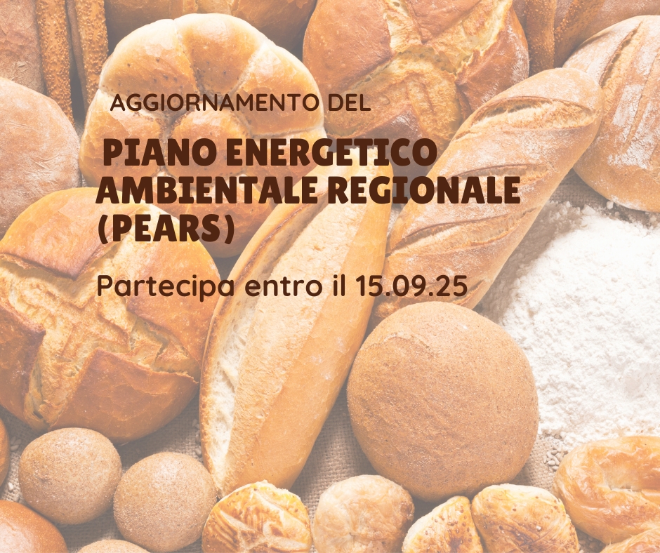Collaborazione al Piano Energetico Regionale - Settore panificatori e pasticceri